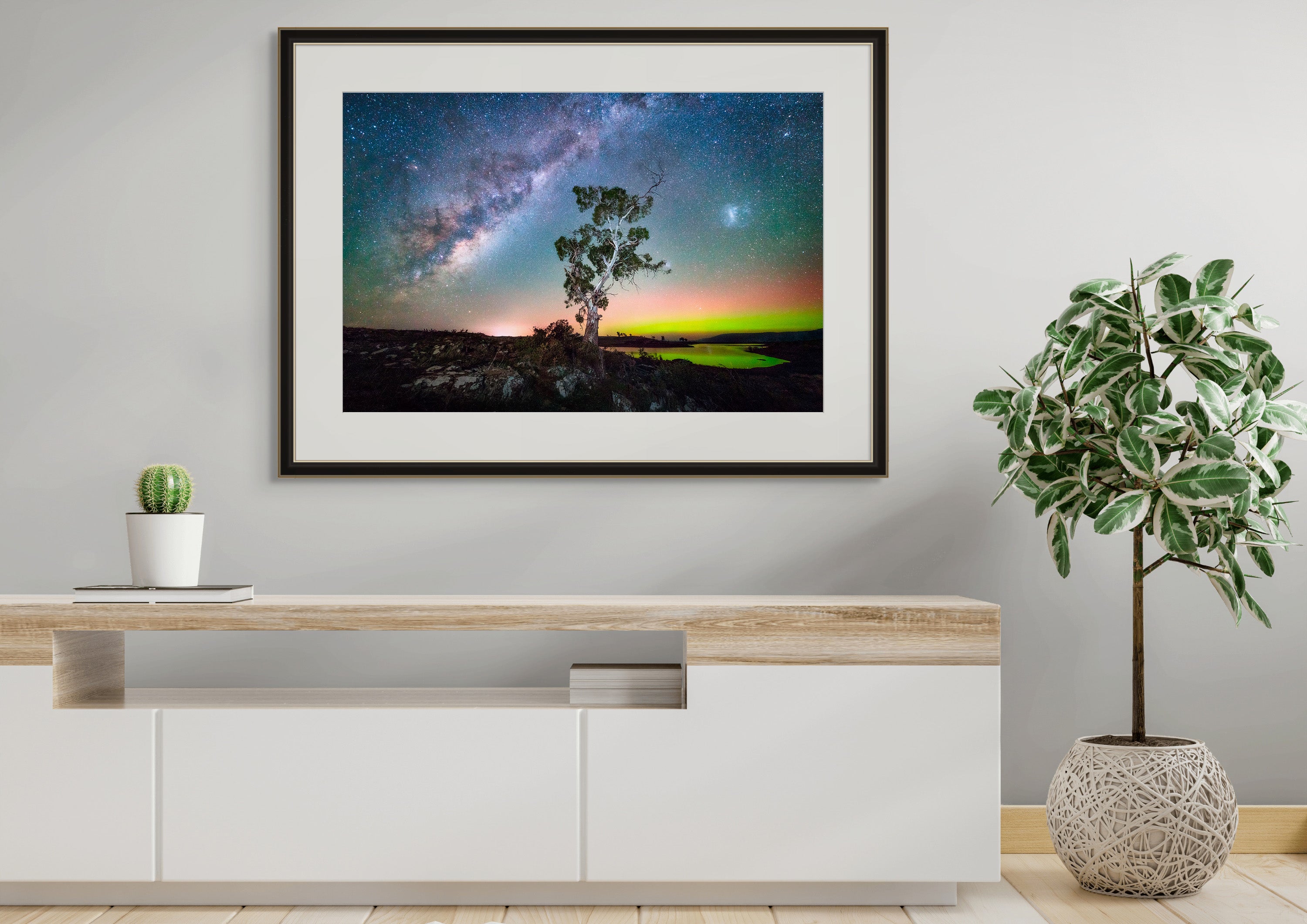 Tasmanian Nights by Luke Tscharke