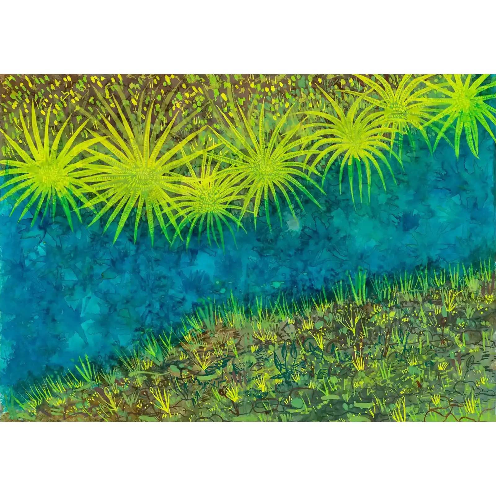 Berry Springs by Tania Slapar-Koman