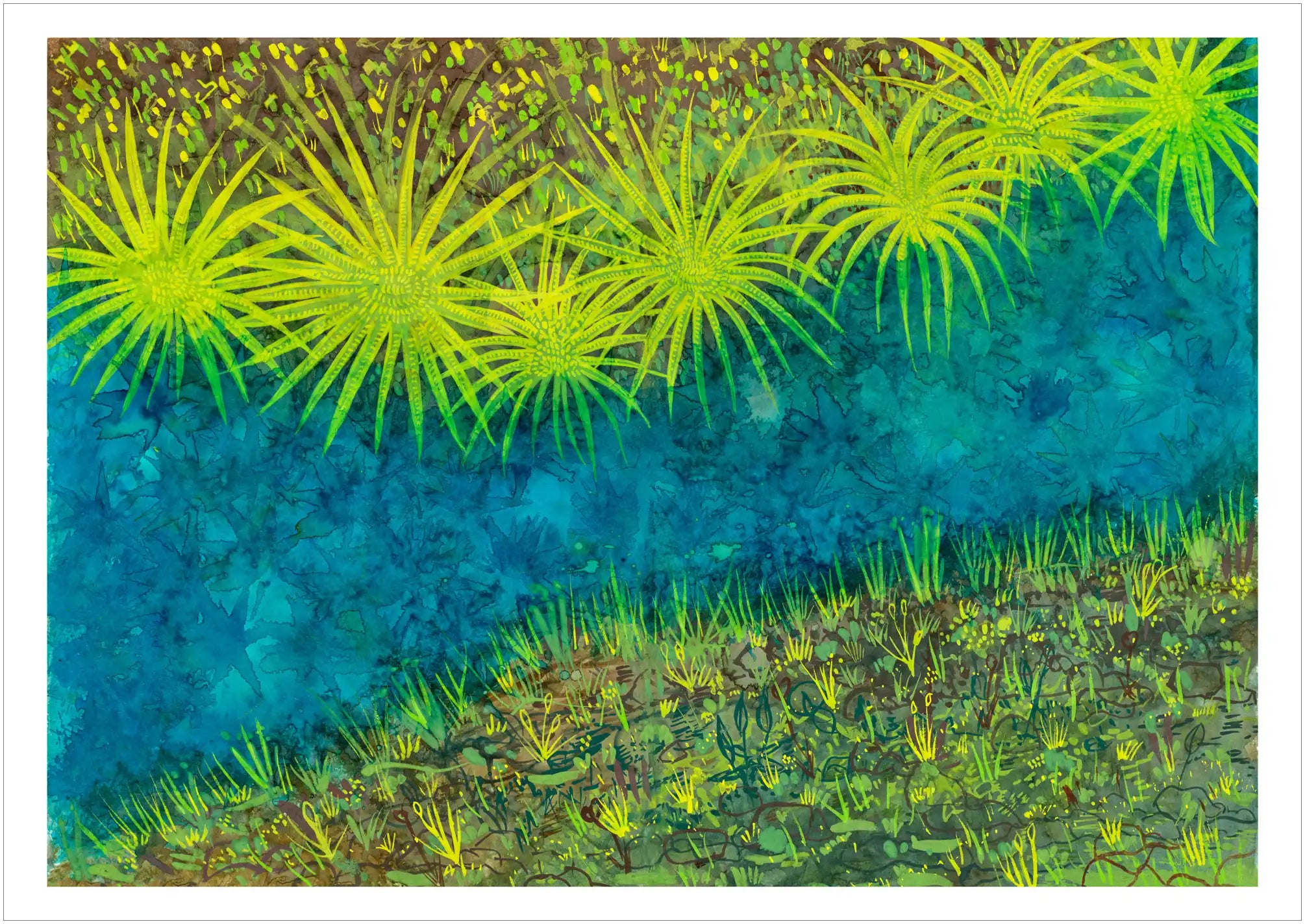 Berry Springs by Tania Slapar-Koman