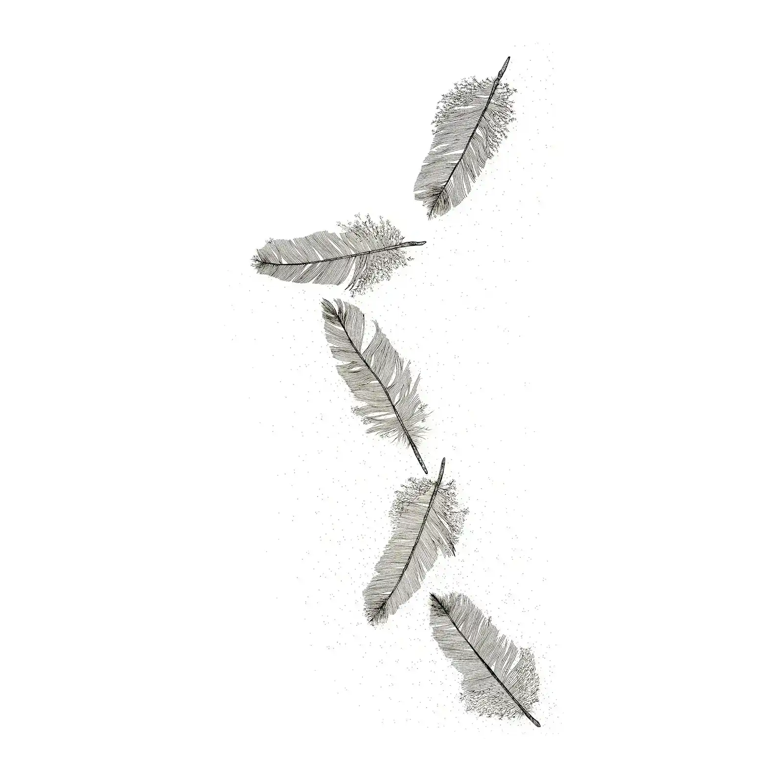 Feather Light by Tania Slapar-Koman