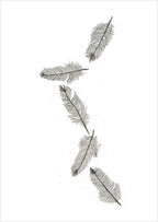 Feather Light by Tania Slapar-Koman