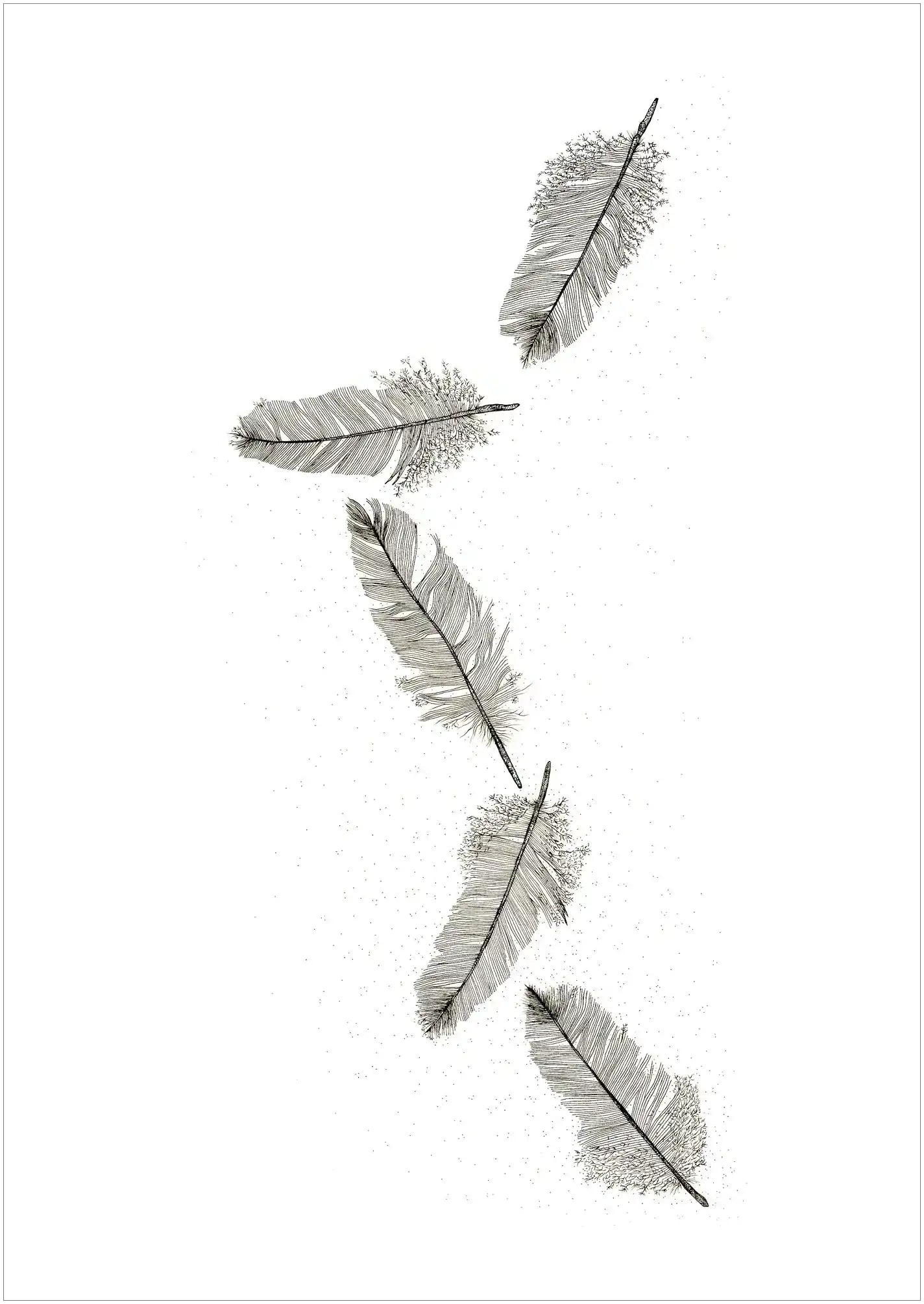 Feather Light by Tania Slapar-Koman