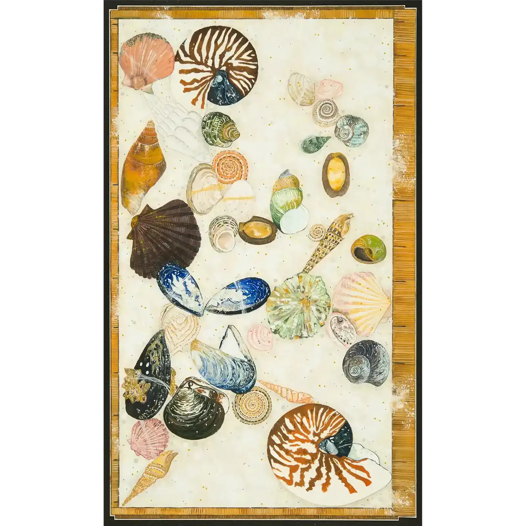 Tasmanian shell collection by Tania Slapar-Koman