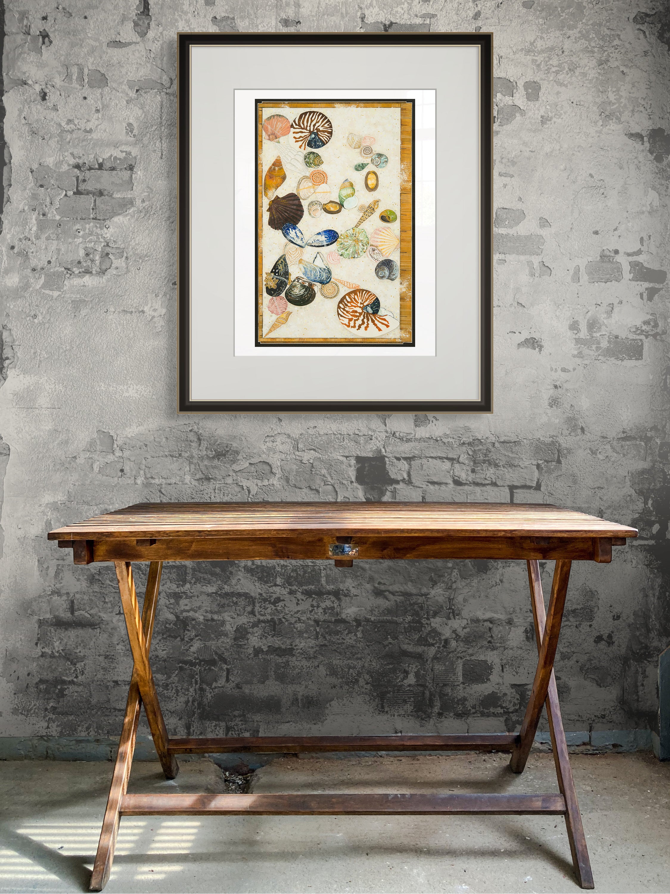 Tasmanian shell collection by Tania Slapar-Koman