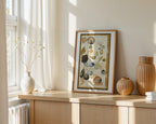 Tasmanian shell collection by Tania Slapar-Koman