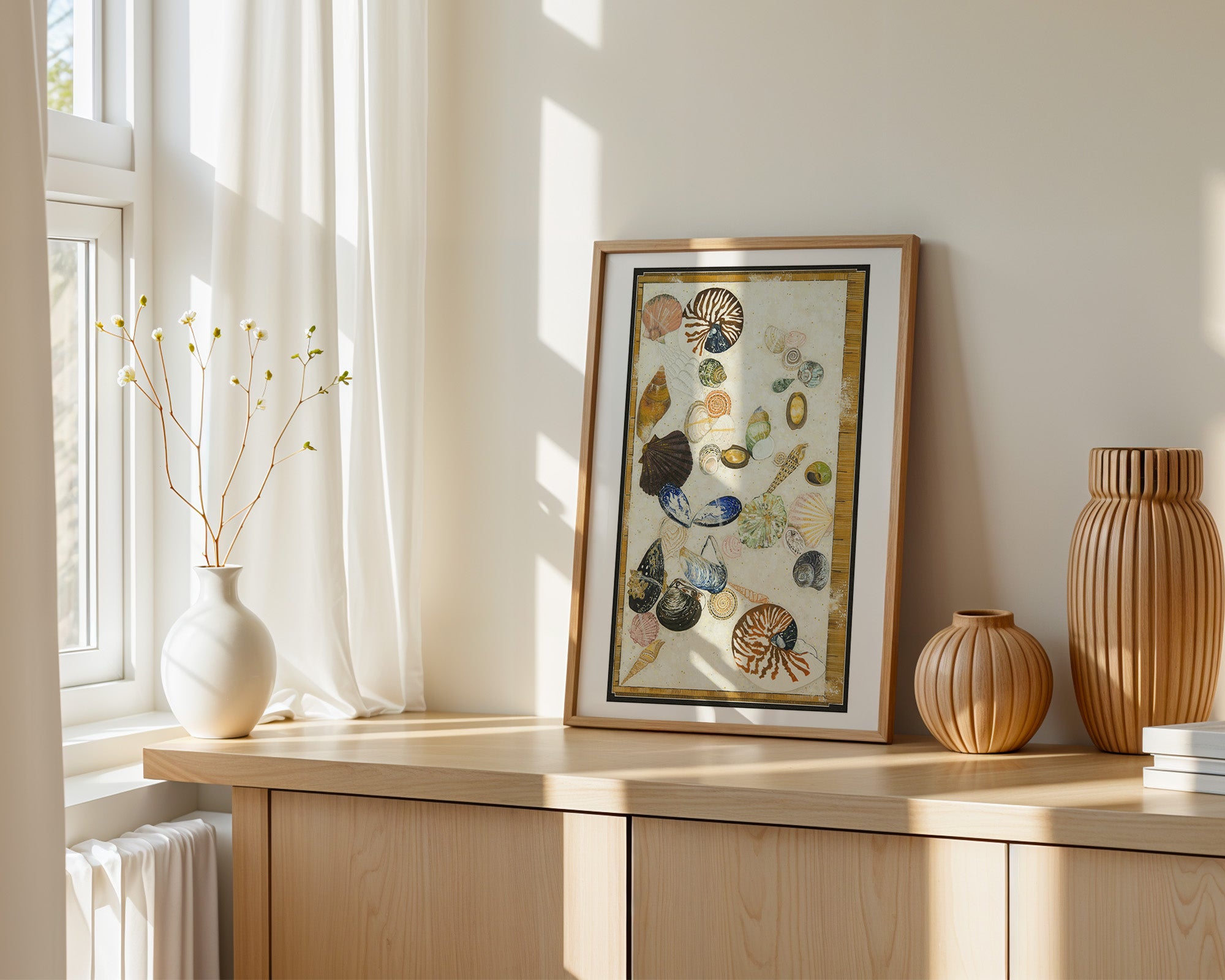 Tasmanian shell collection by Tania Slapar-Koman
