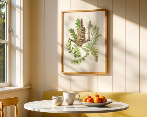 Banksia grandis by Lynne Uptin