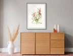 Richea dracophylla Dragon Heath by Lynne Uptin
