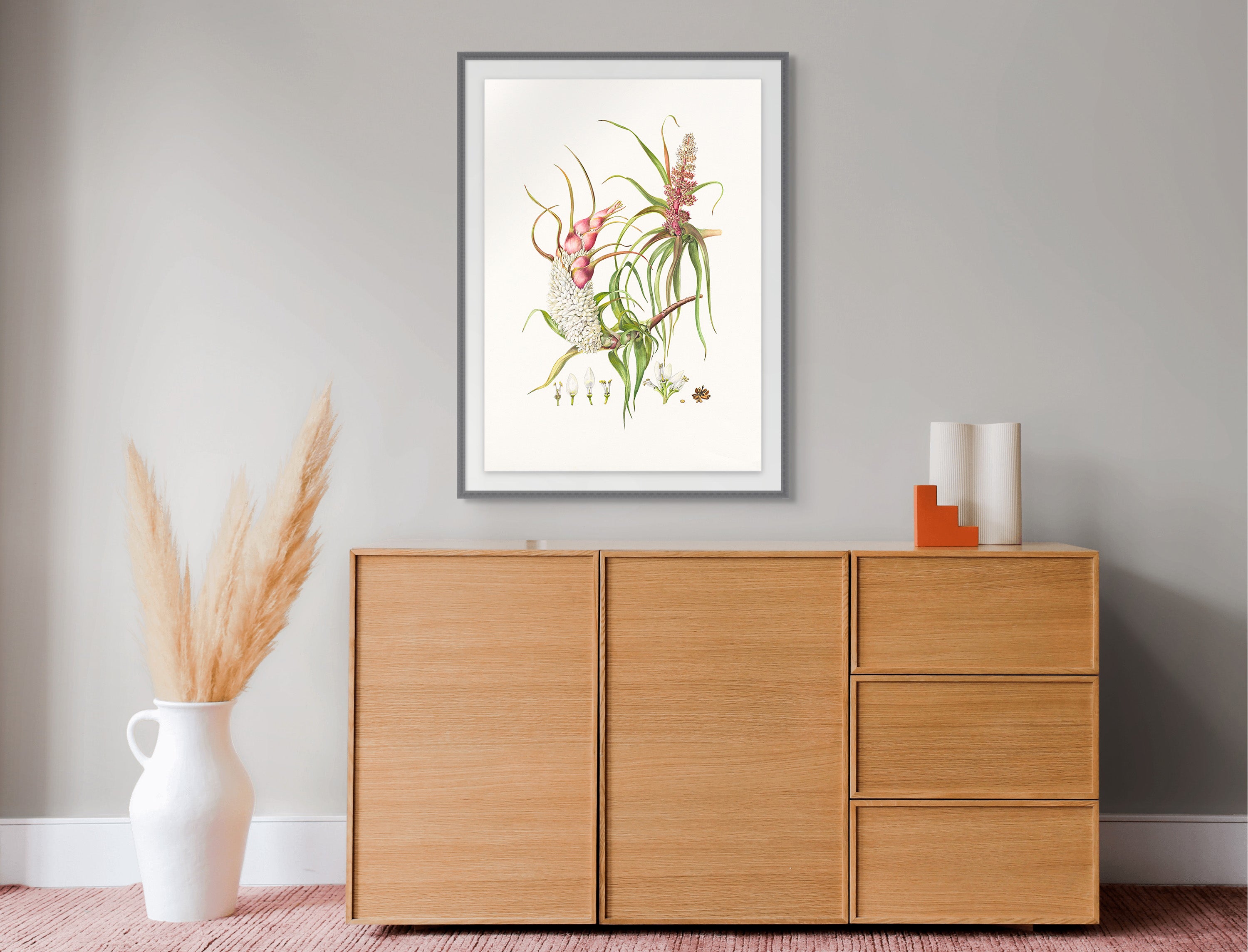Richea dracophylla Dragon Heath by Lynne Uptin