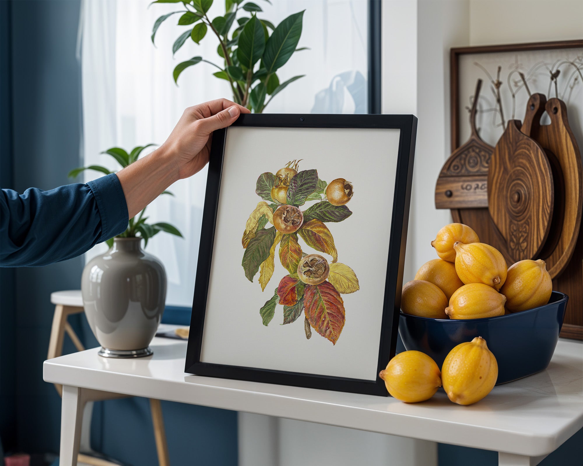 Mespilus germanica Medlar by Lynne Uptin