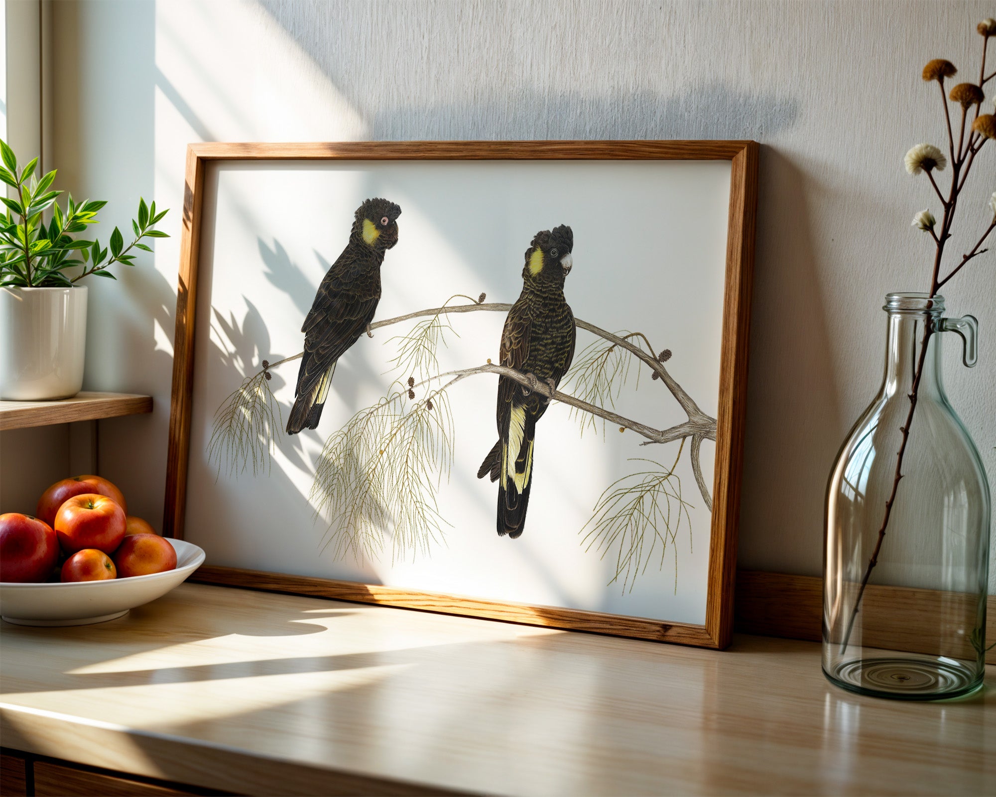 Yellow - Tailed Black Cockatoo's by Tasha Waller