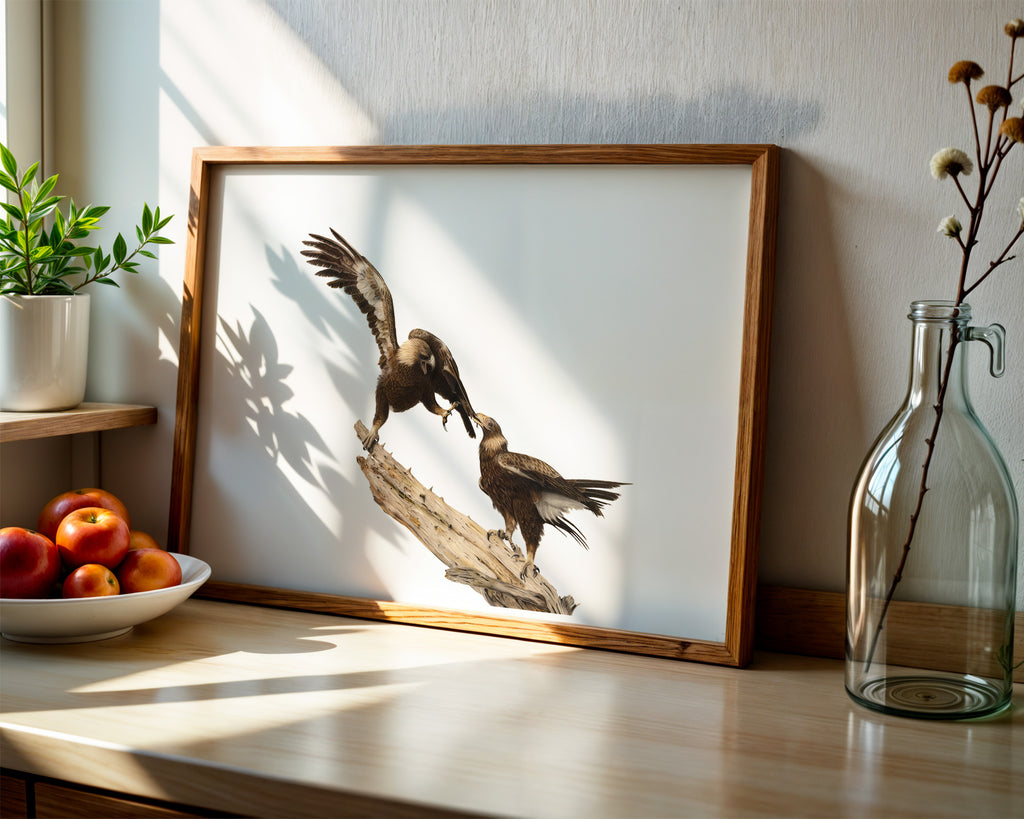 Wedge Tailed Eagles - "Sibling Rivalry" by Tasha Waller