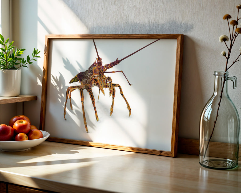 Southern Rock Lobster "Stand Proud" by Tasha Waller