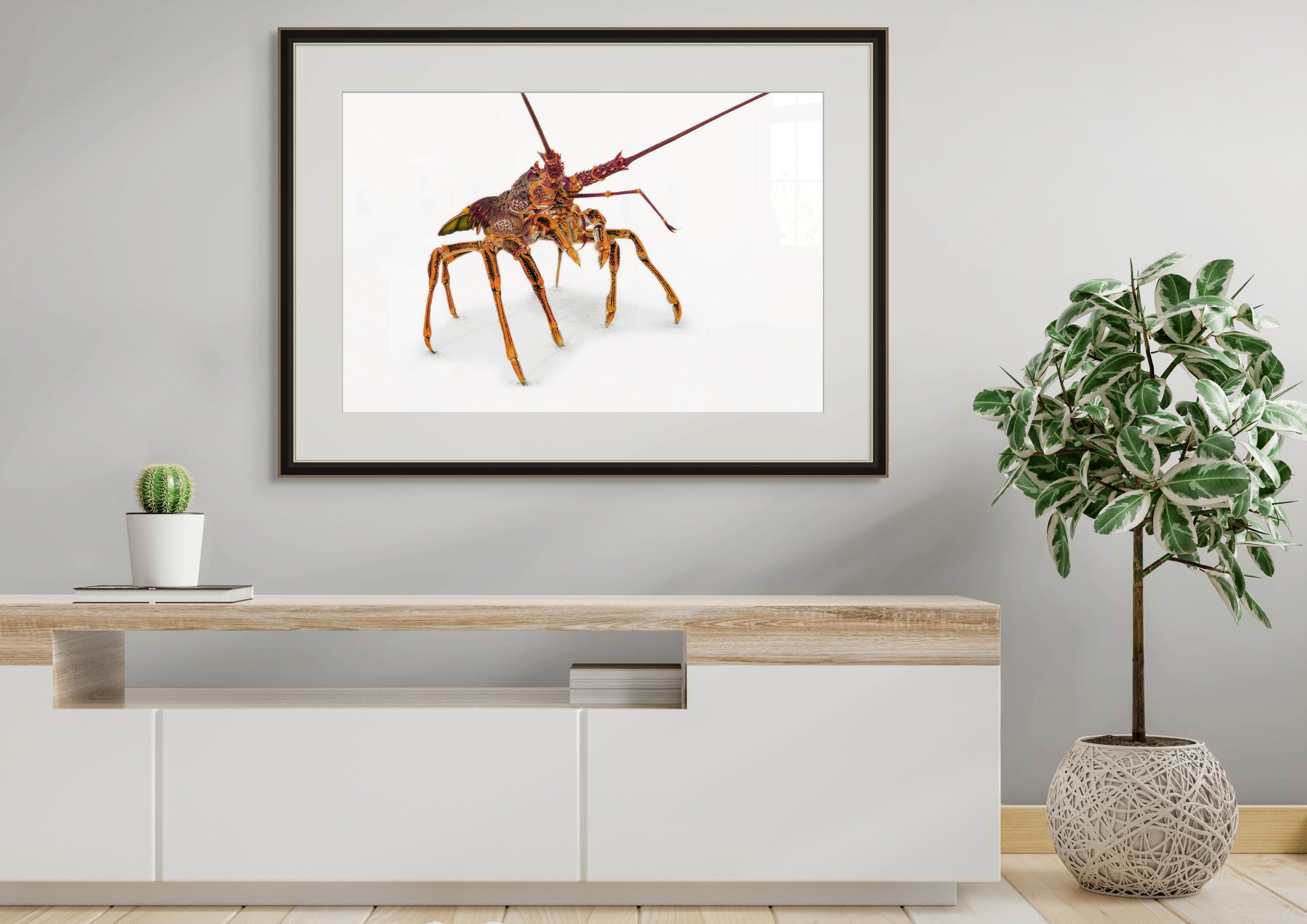 Southern Rock Lobster "Stand Proud" by Tasha Waller