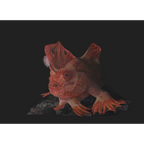 Red Handfish "On the Brink" by Tasha Waller
