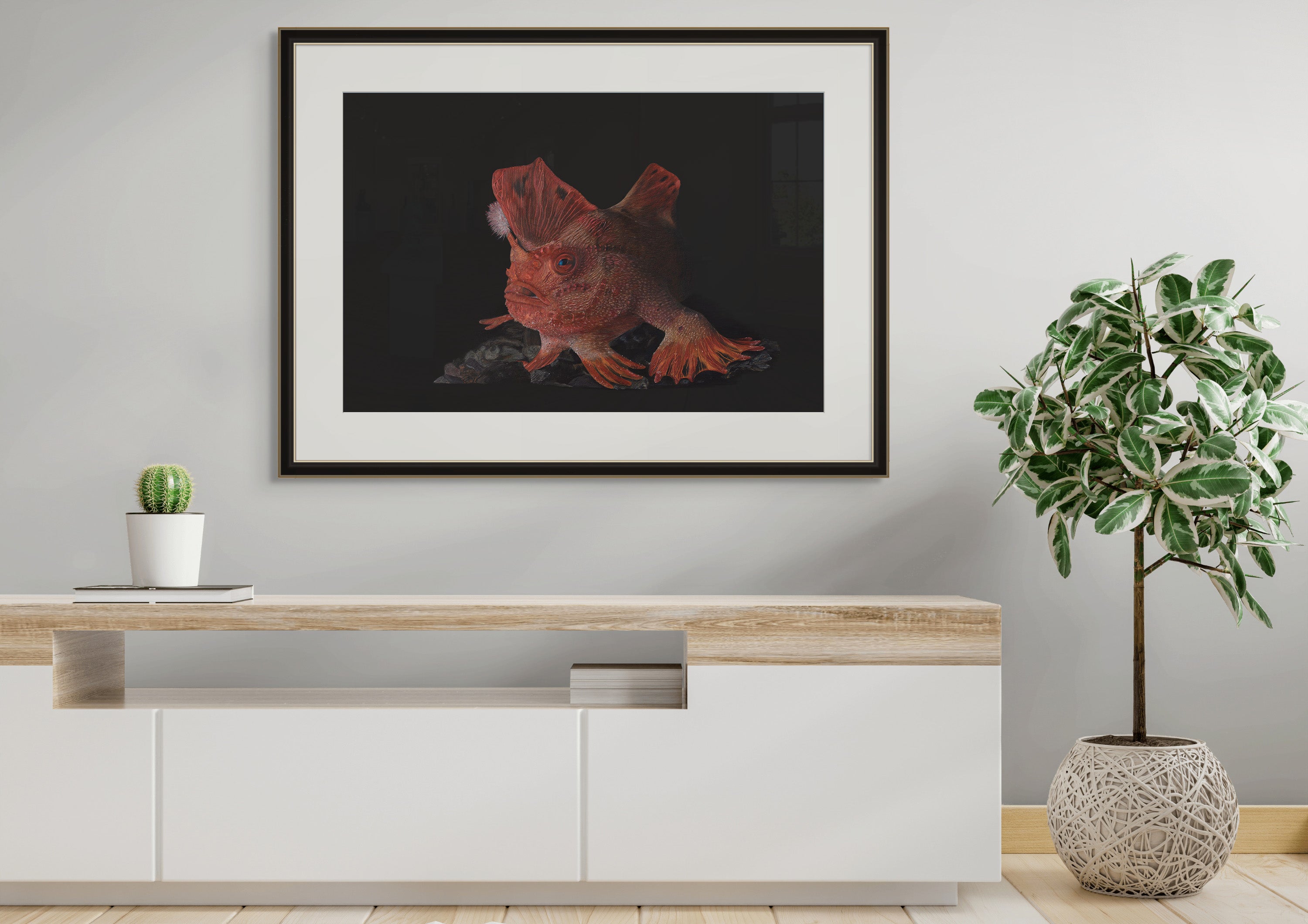 Red Handfish "On the Brink" by Tasha Waller