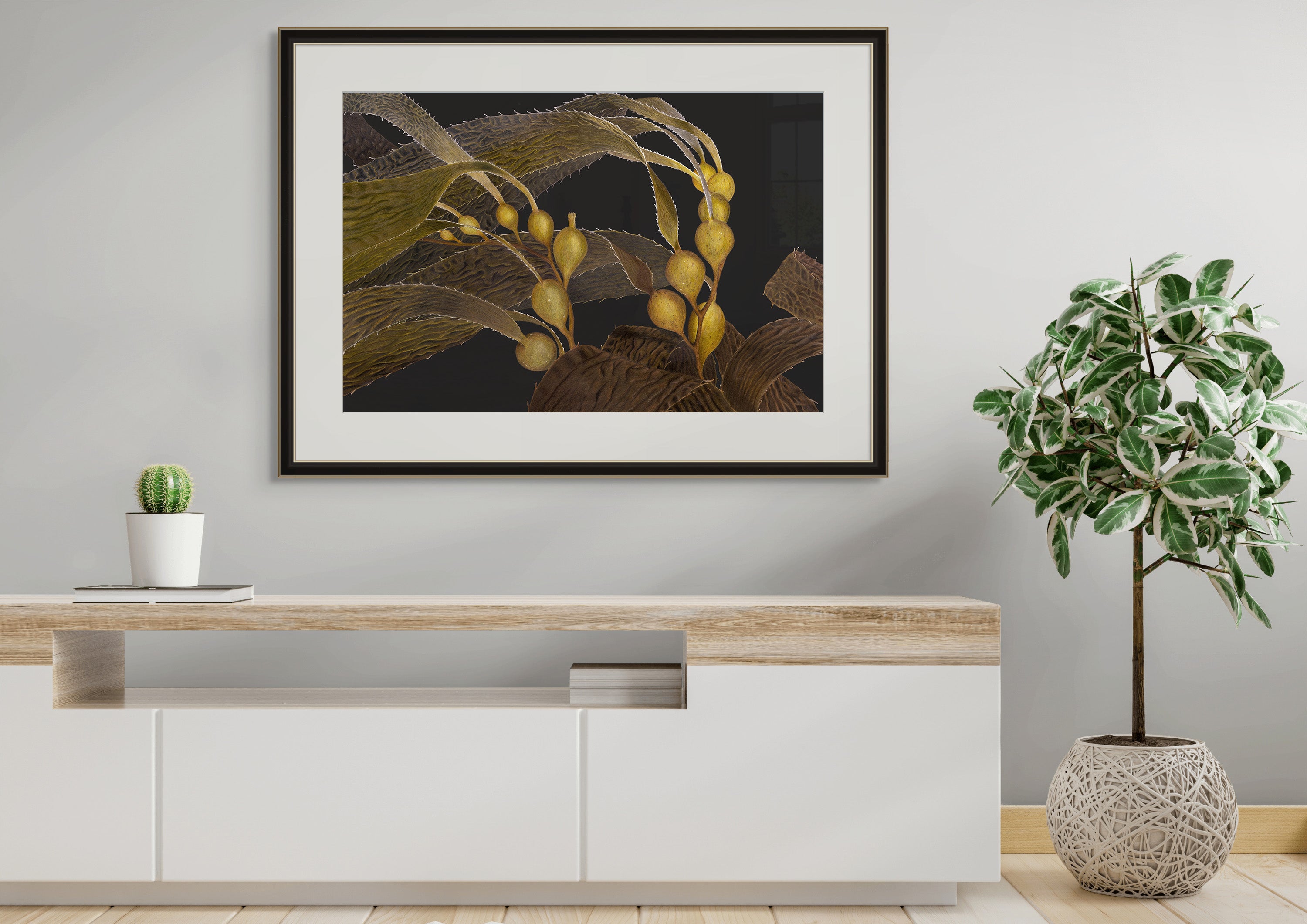 Giant Kelp "Diminishing Forests" by Tasha Waller