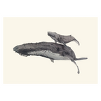 Humpback Whales - Blue background - "Fae Ofa" by Tasha Waller