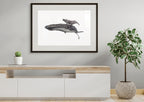 Humpback Whales - Blue background - "Fae Ofa" by Tasha Waller