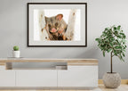 Brushtail Possum "Day Dreaming" by Tasha Waller