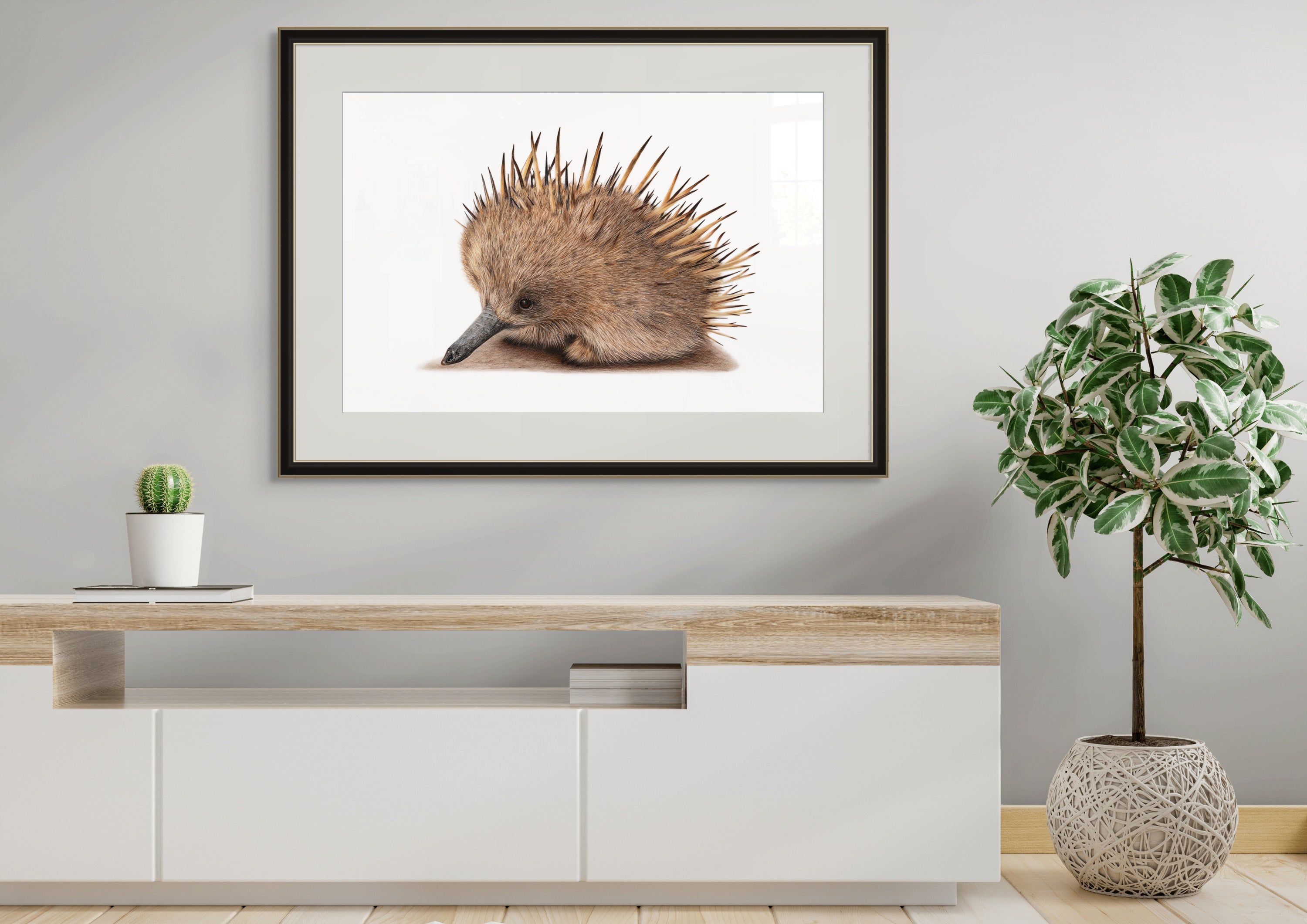 Echidna "Puggle" by Tasha Waller