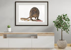 Pademelon "Foraging" by Tasha Waller