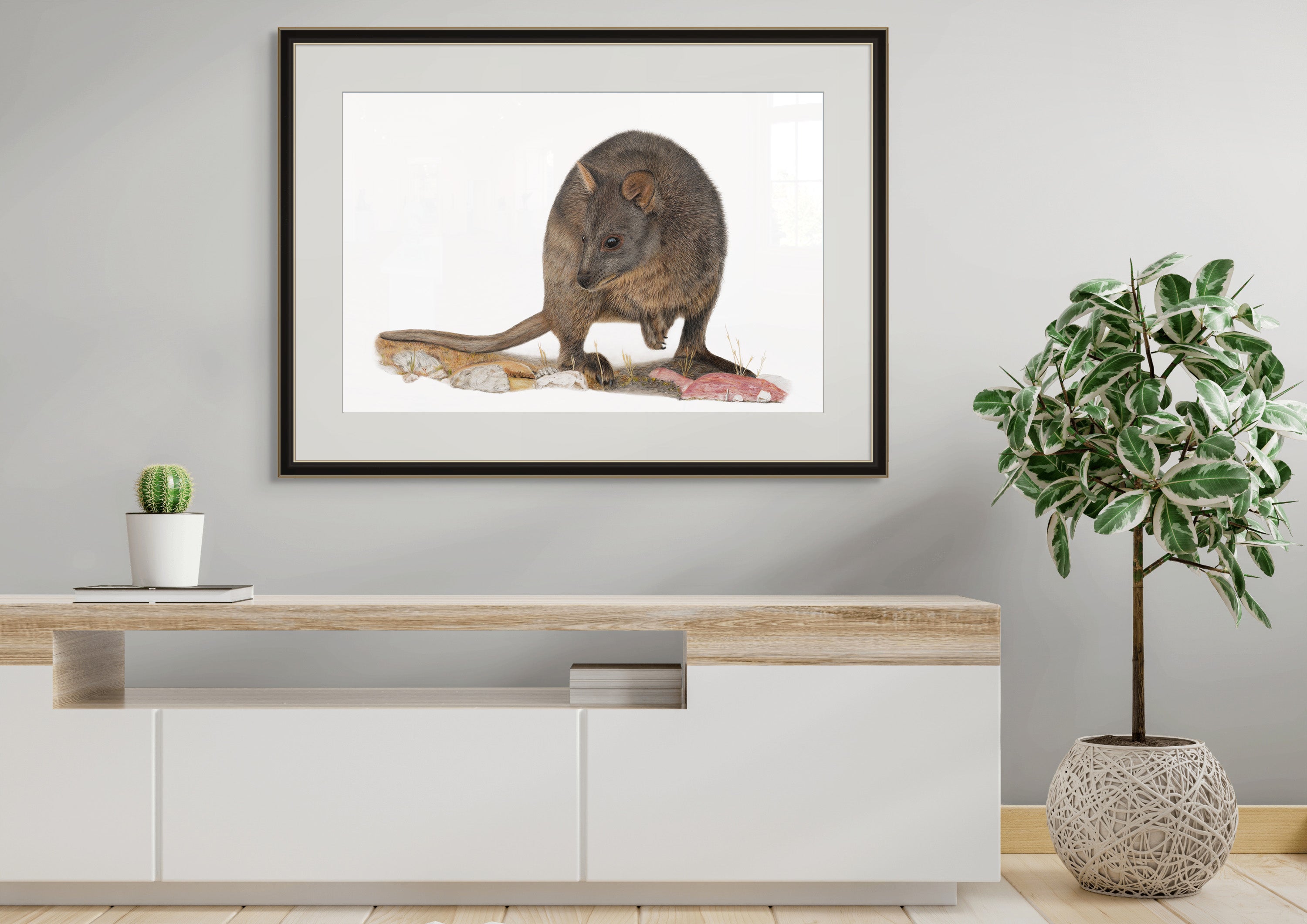 Pademelon "Foraging" by Tasha Waller
