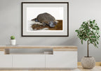 Platypus "Scoot" by Tasha Waller