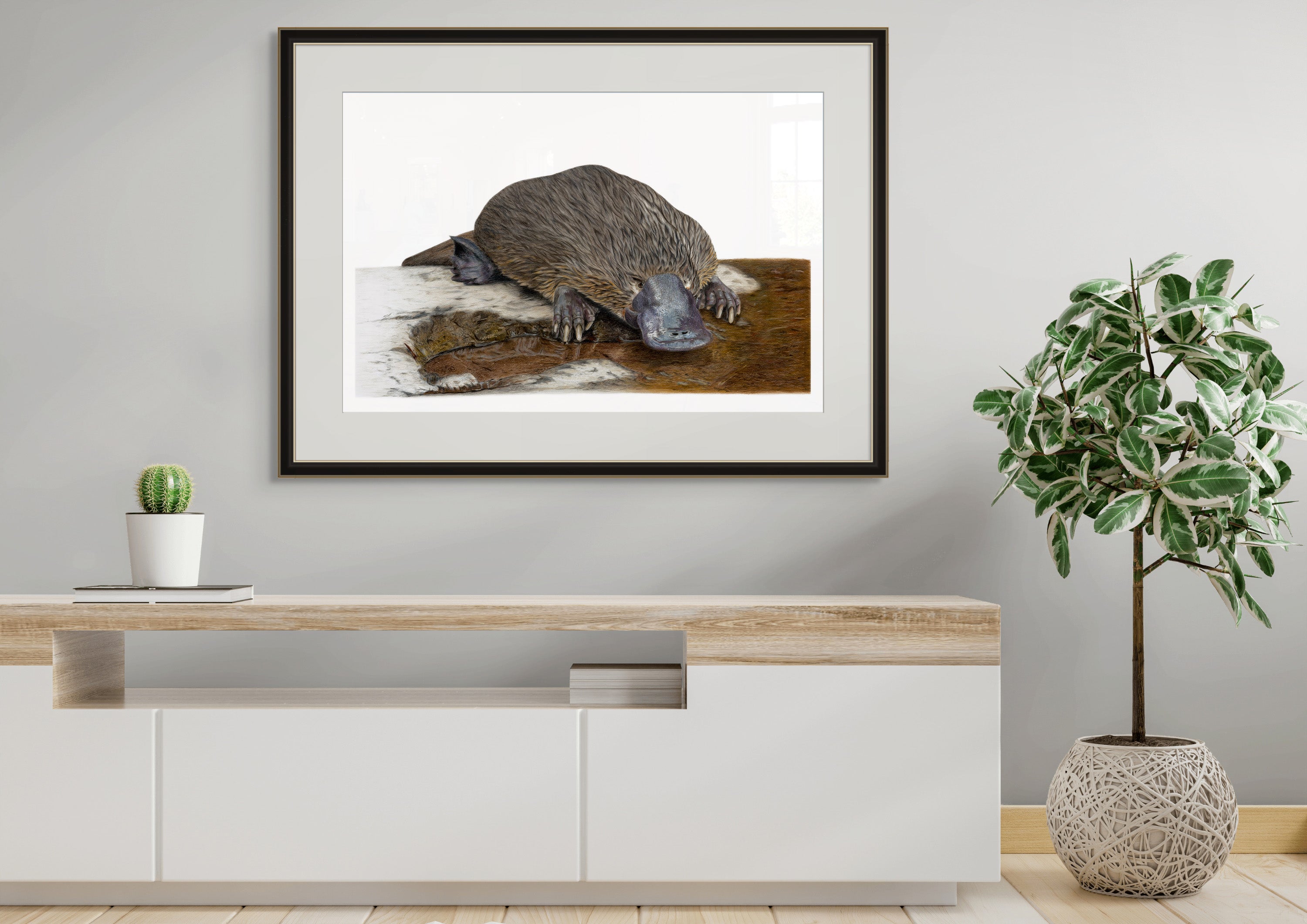 Platypus "Scoot" by Tasha Waller