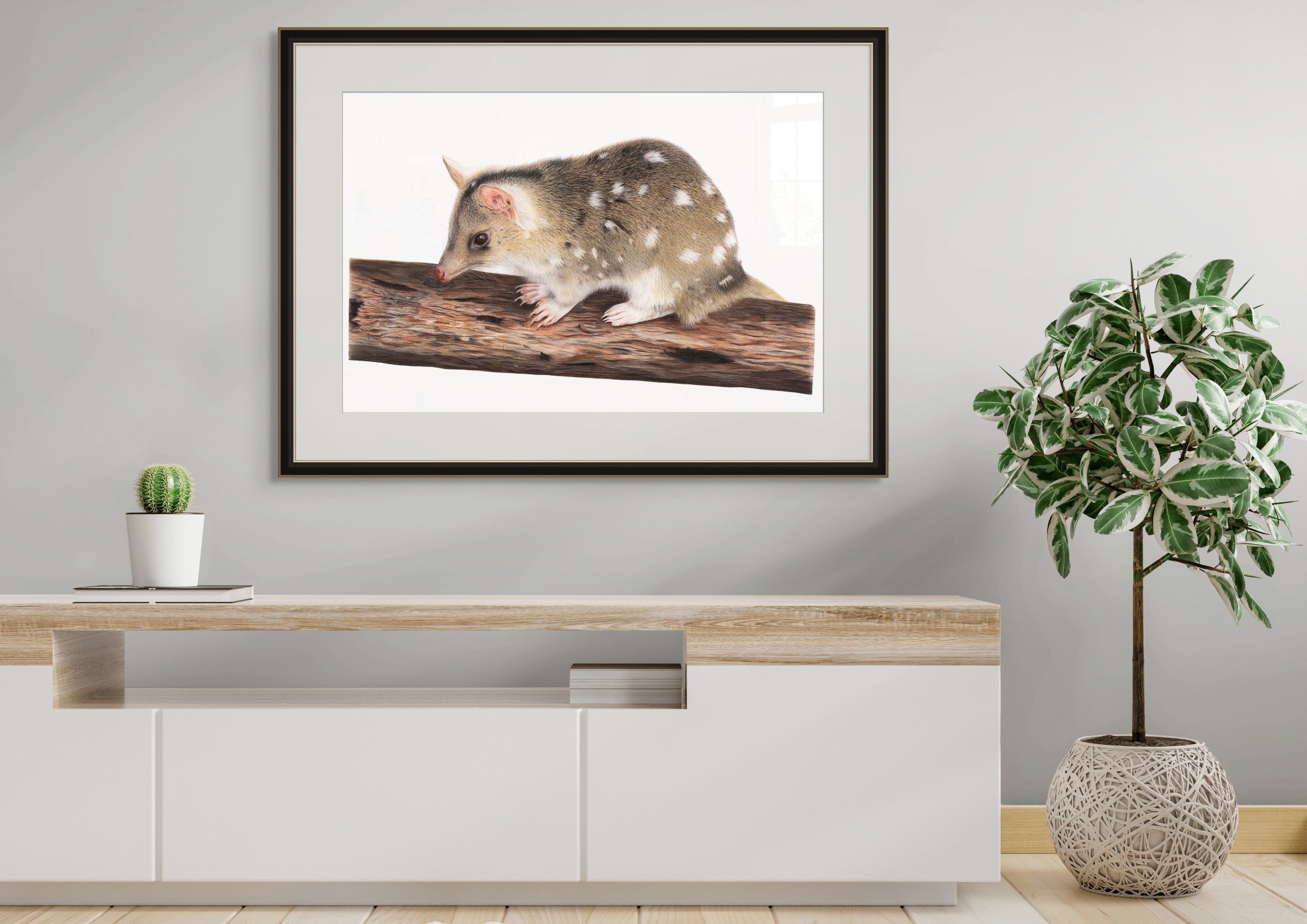 Quoll "Native Cat" by Tasha Waller