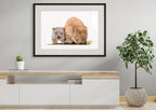 Wombats "By My Side" by Tasha Waller