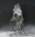 King Billy and the Huon Pine by Andrew Wilson