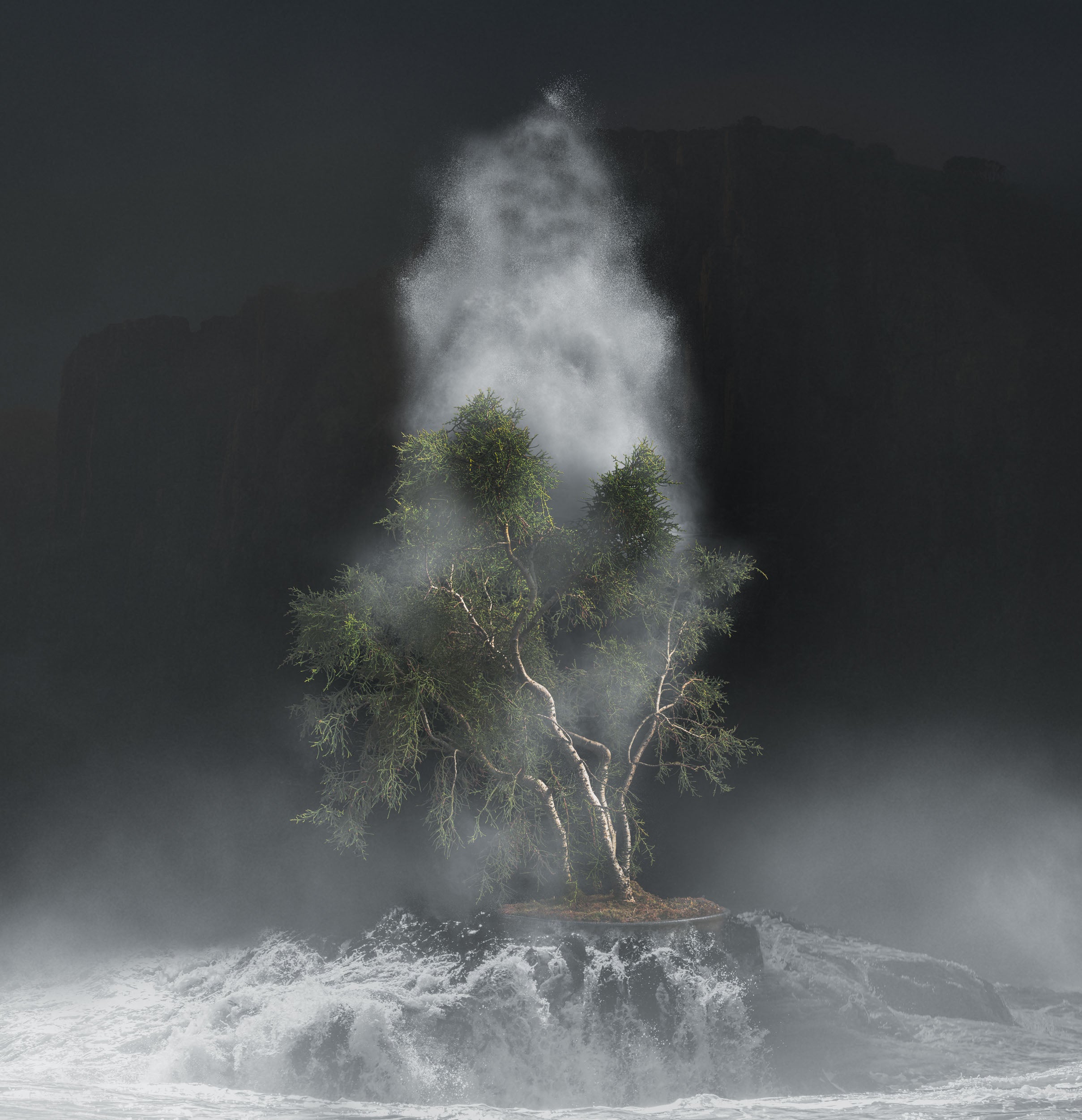 King Billy and the Huon Pine by Andrew Wilson