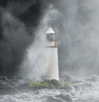 Stories of light and shadows by Andrew Wilson