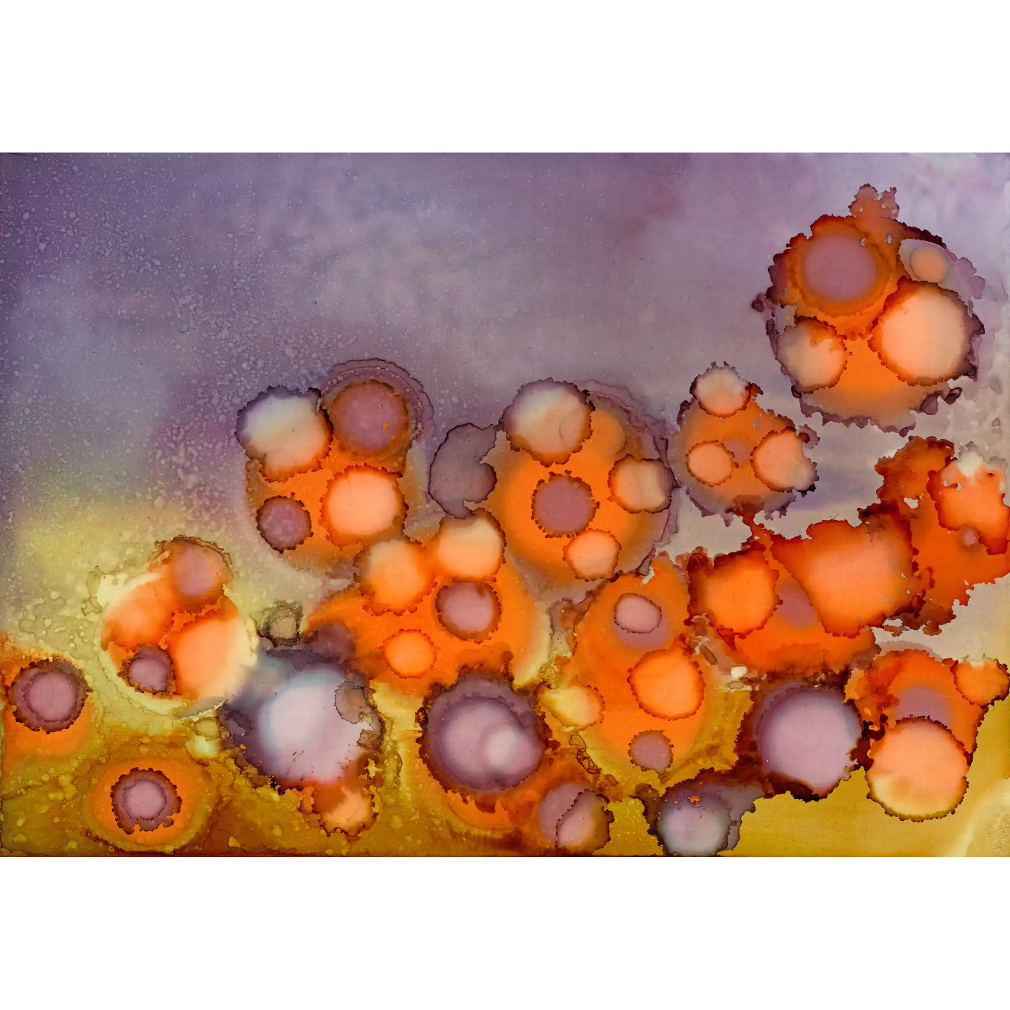 Little Poppets  By Anna Abell