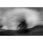 Spiral - Black and White by Nick Nairn-Smith