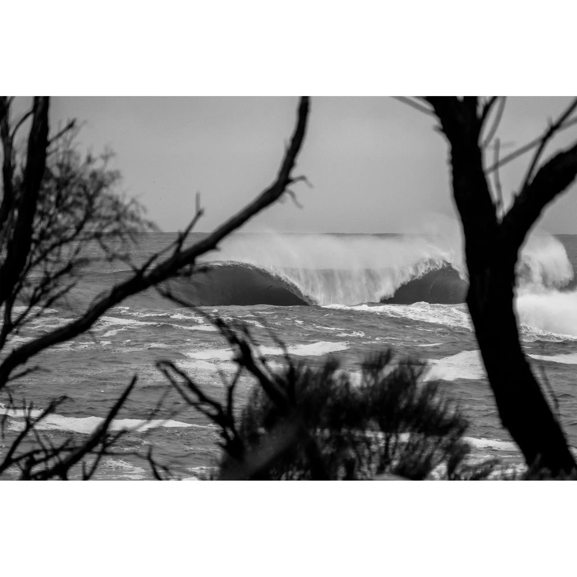 Distant by Nick Nairn-Smith