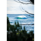Seen by Nick Nairn-Smith