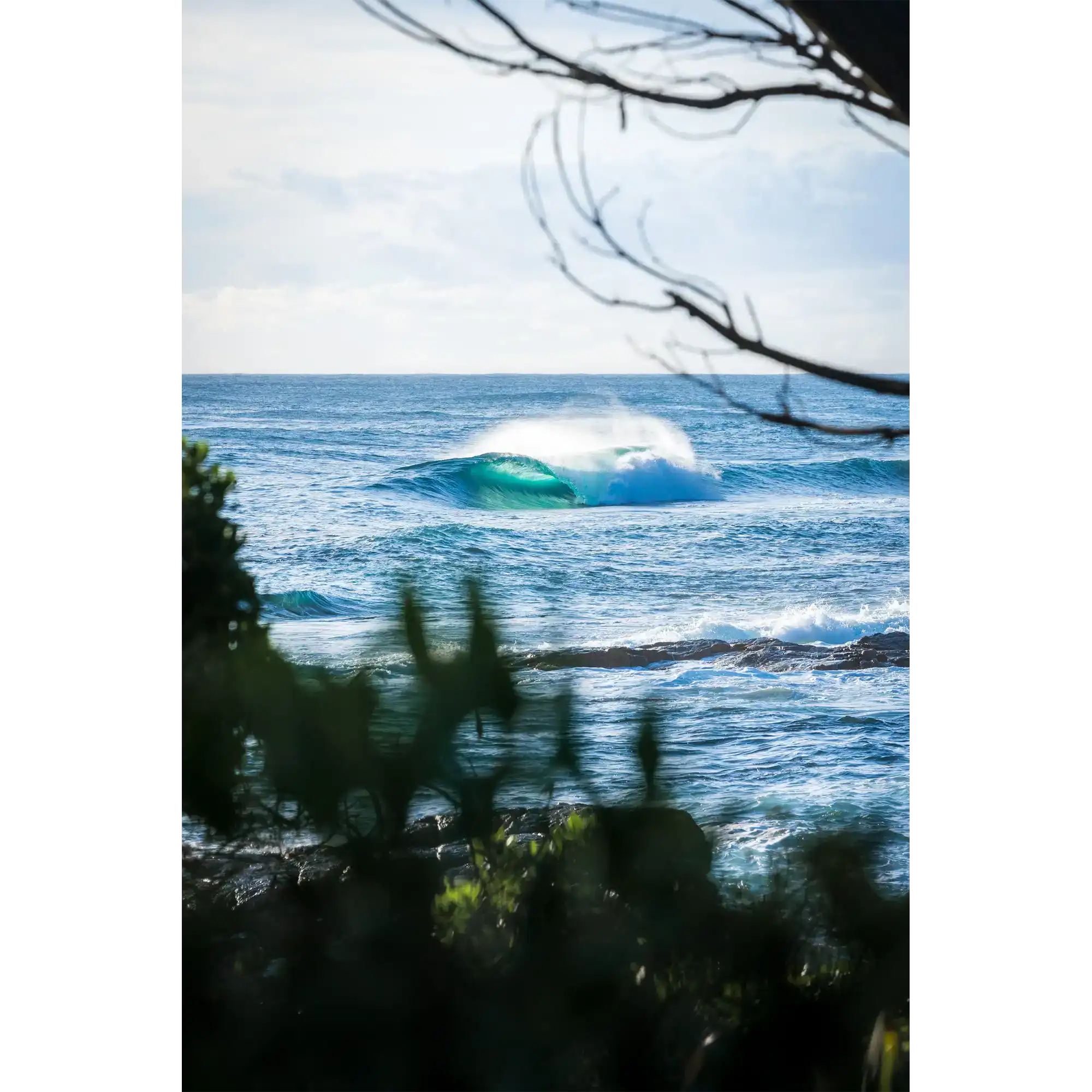 Seen by Nick Nairn-Smith