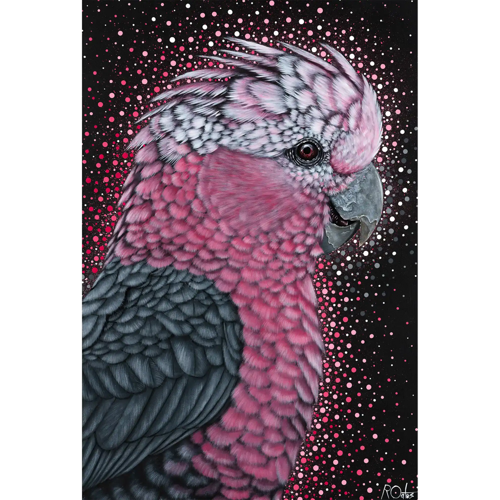Galah by Reuben Oates