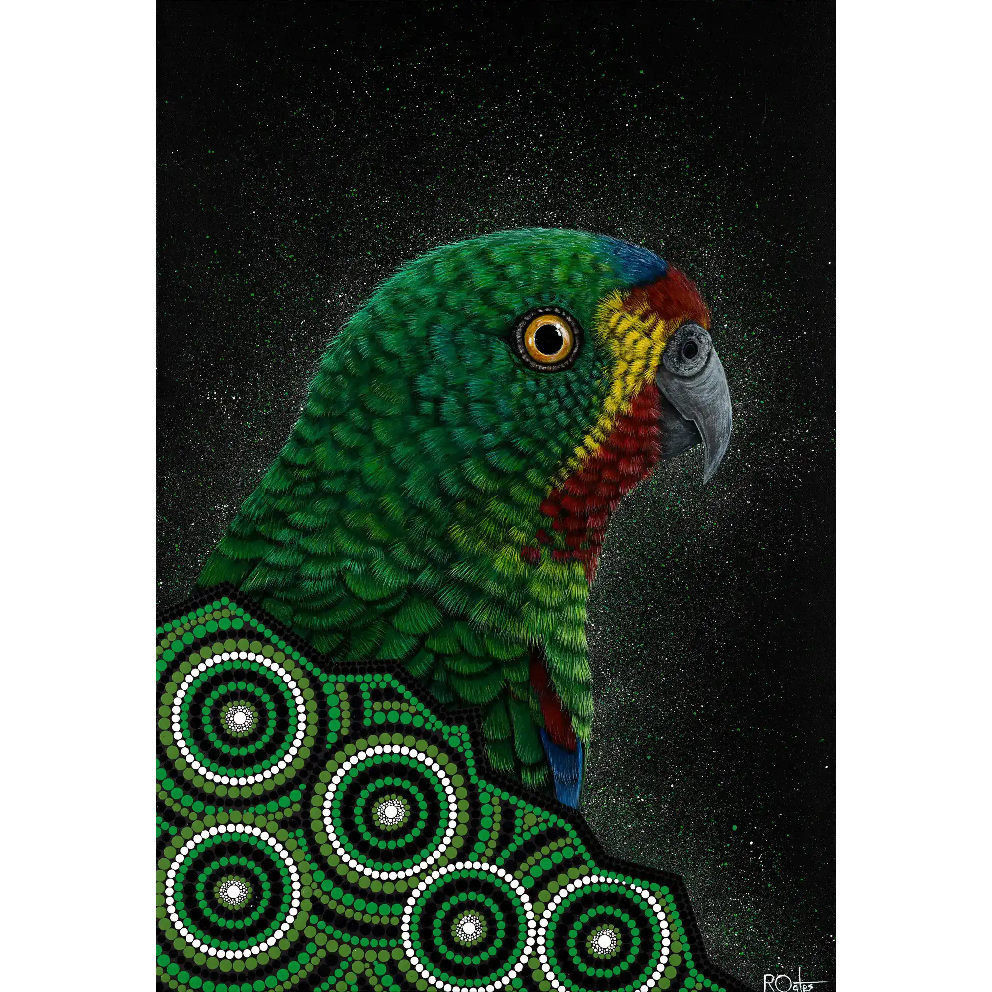 Swift Parrot by Reuben Oates