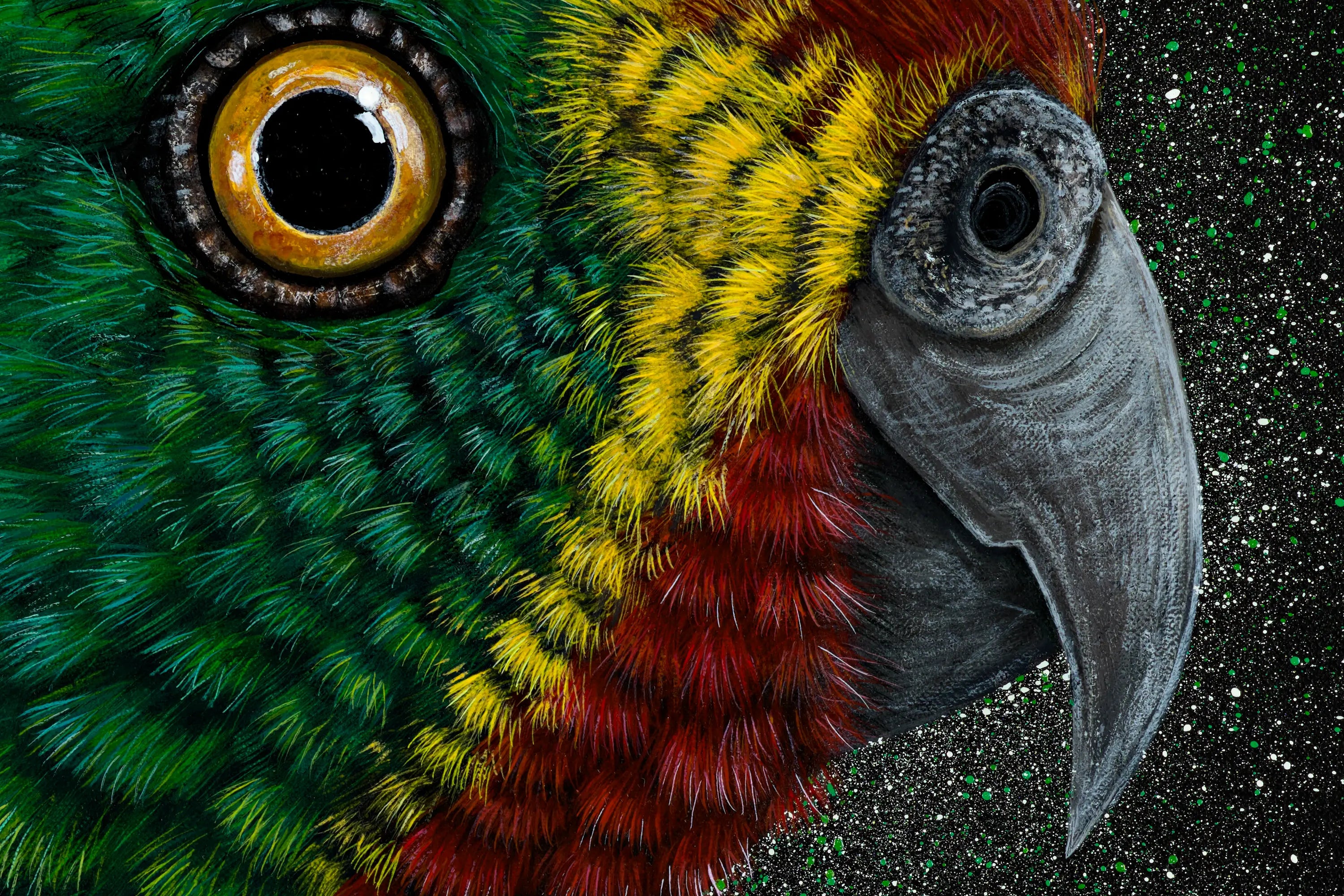 Swift Parrot by Reuben Oates
