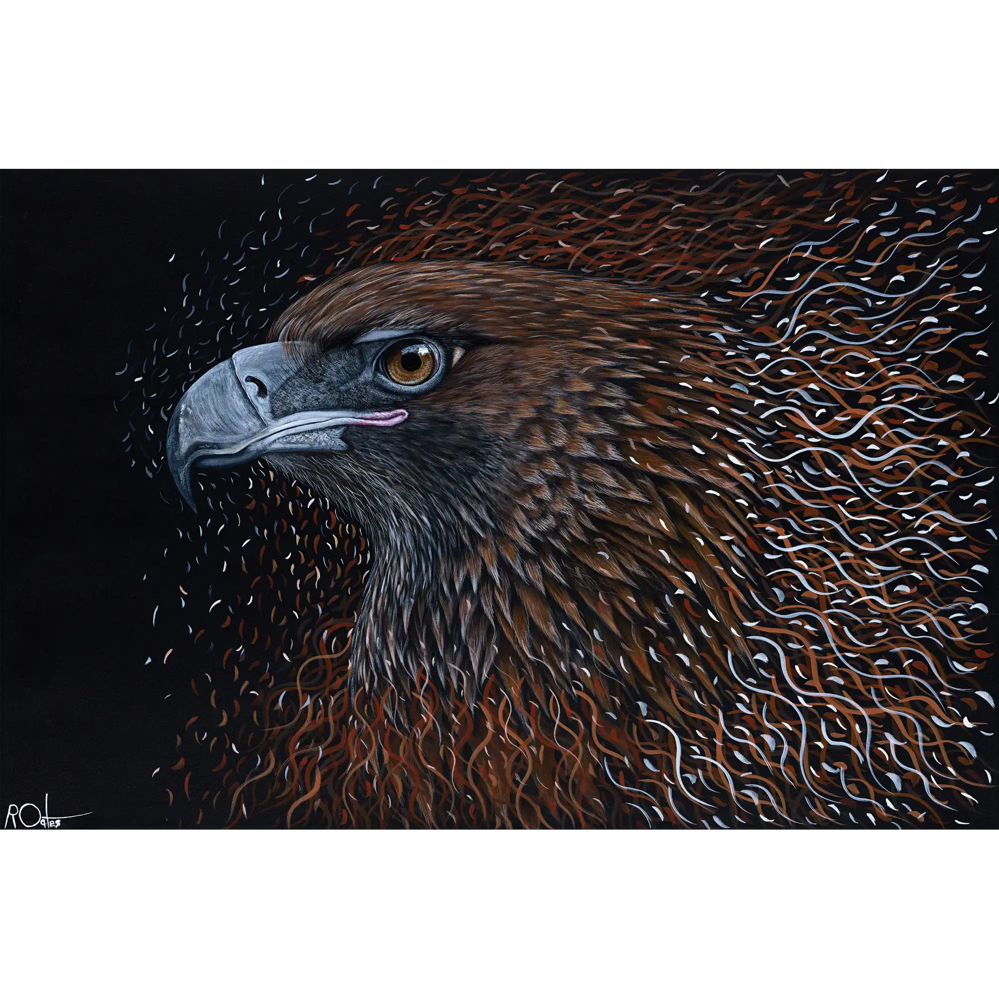 Wedge Tailed Eagle - Born Again by Reuben Oates