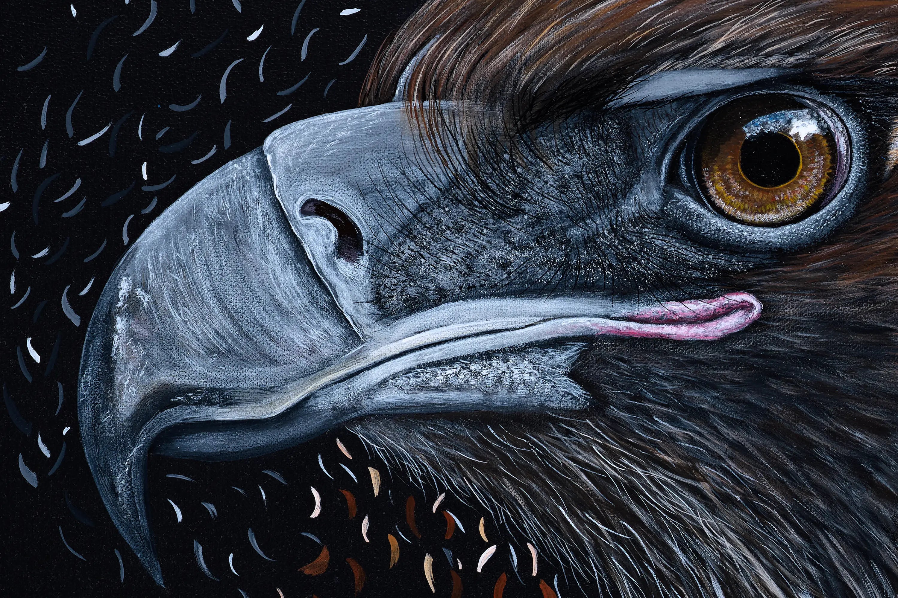 Wedge Tailed Eagle - Born Again by Reuben Oates