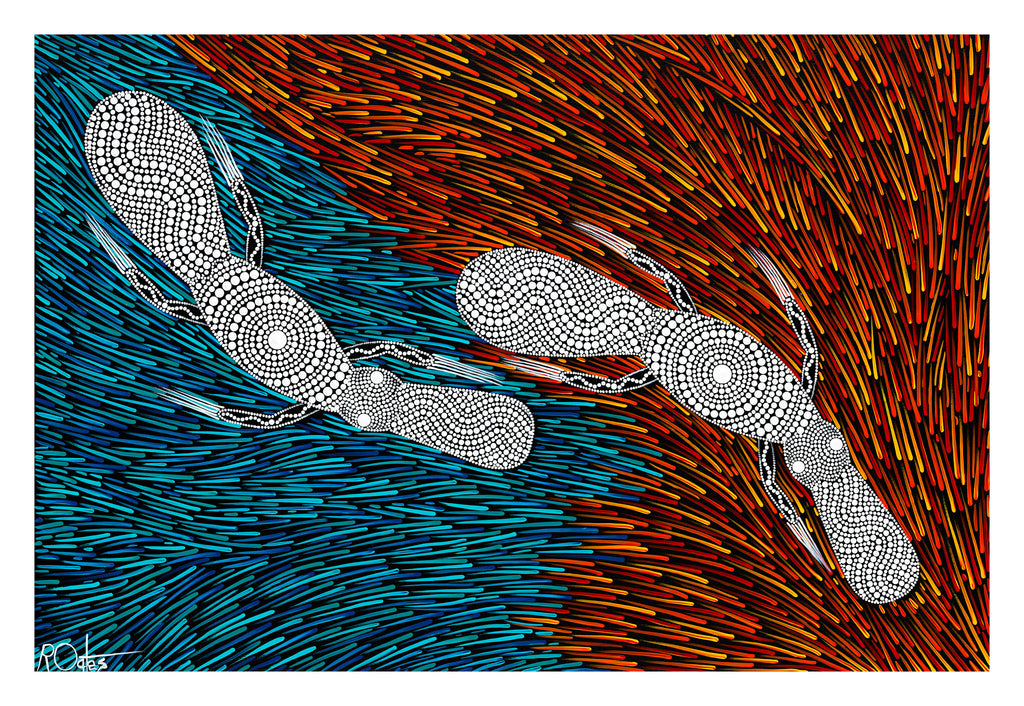 Platypus - From Autumn Into Winter by Reuben Oates