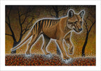 Tassie Tiger by Reuben Oates