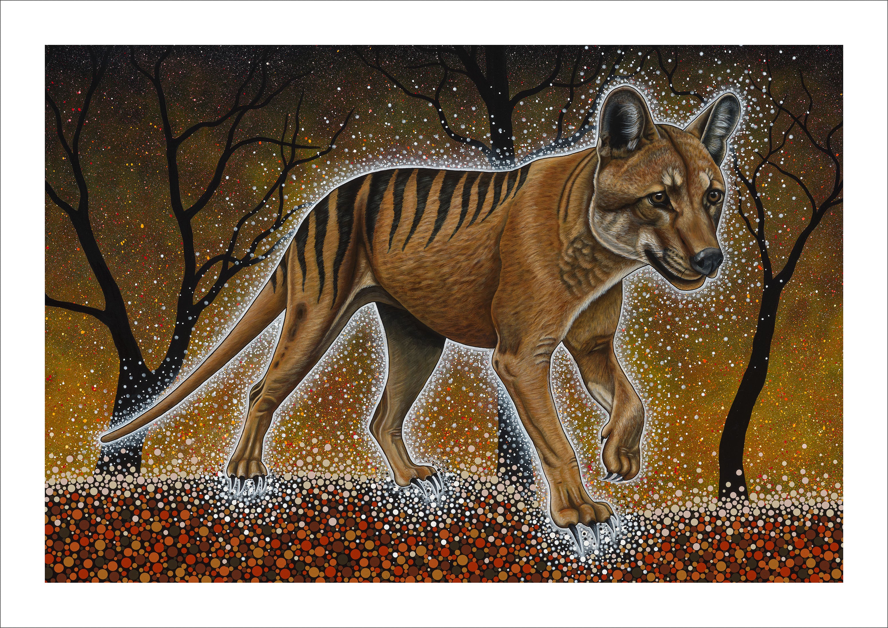 Tassie Tiger by Reuben Oates
