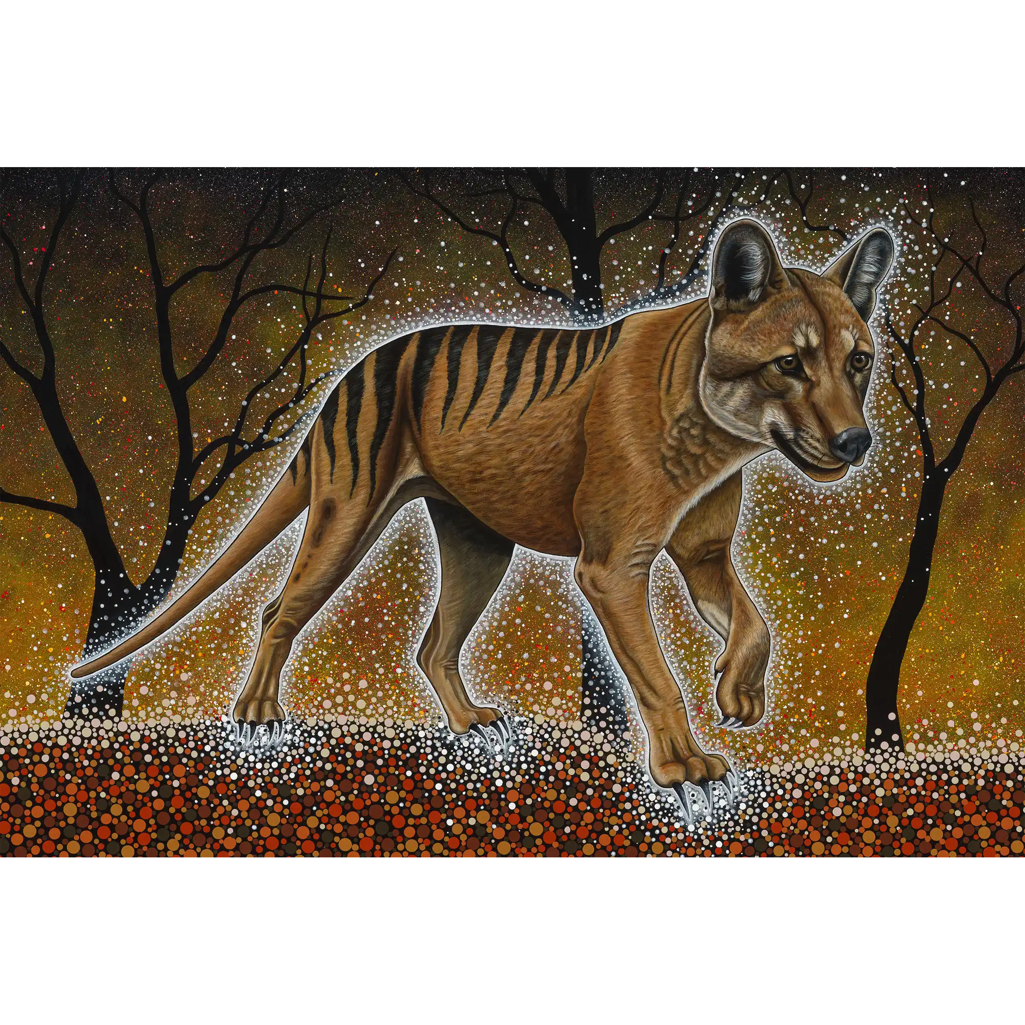 Tassie Tiger by Reuben Oates