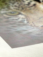 Hahnemühle Bamboo 290gsm