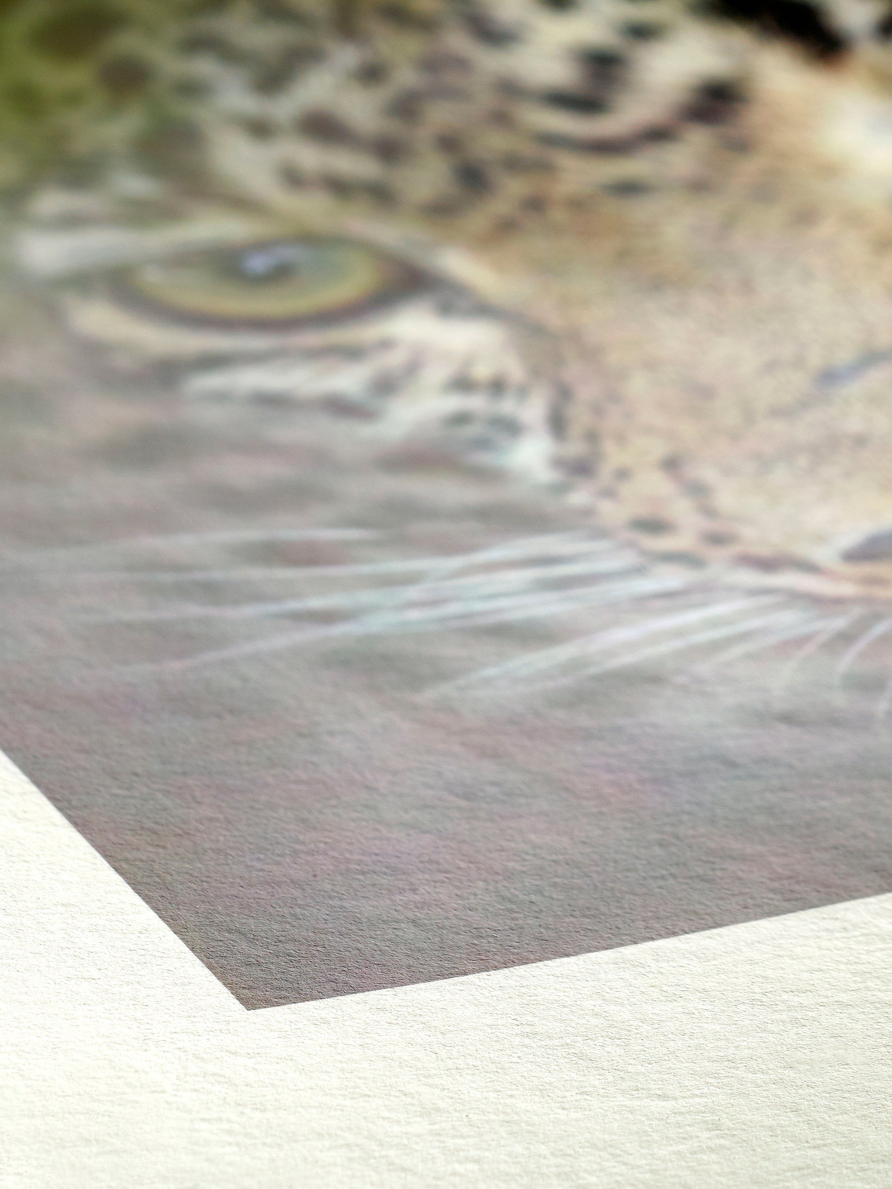 Hahnemühle Bamboo 290gsm